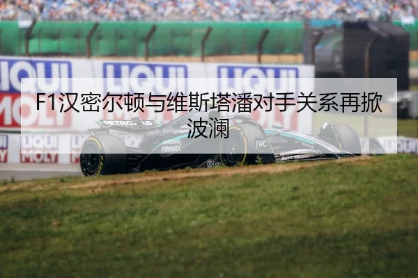 F1汉密尔顿与维斯塔潘对手关系再掀波澜